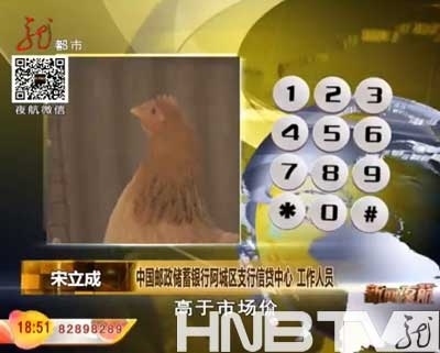 �����ʴ������Ŵ�Ա���Ŵߴ���ץ��ũ��8ֻ������