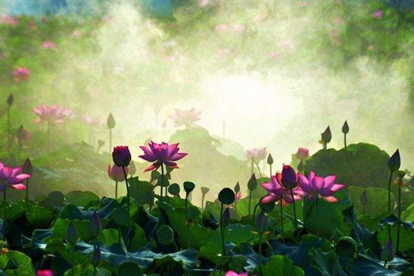 �й�������һ�塪��Ҧ��