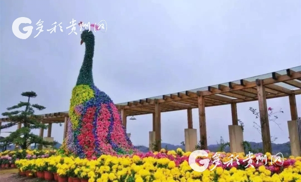 ���ղأ�����һ�ݸɻ������ġ���һ�����б���