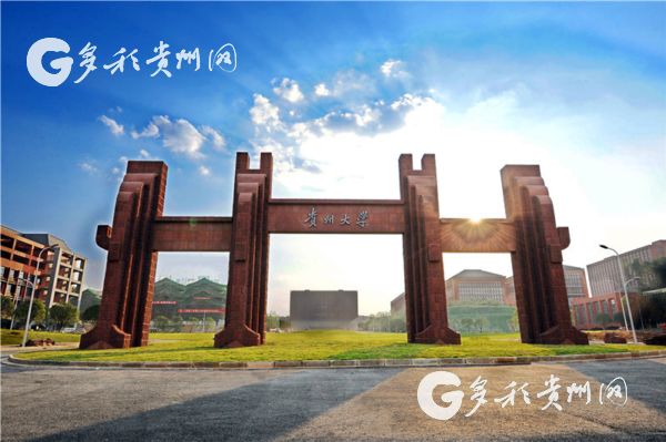 ���ݴ�ѧ�ٴ����й�����һ�֡�˫һ���������Уϵ��
